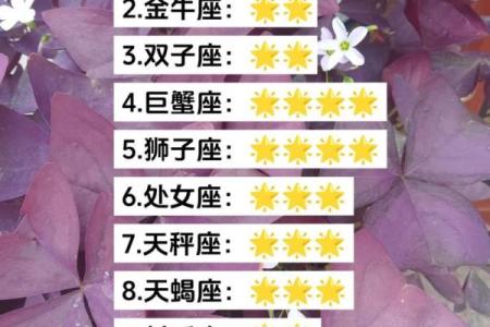 十二星座运势免费查询_2024年十二星座运势免费查询精准预测全年运程