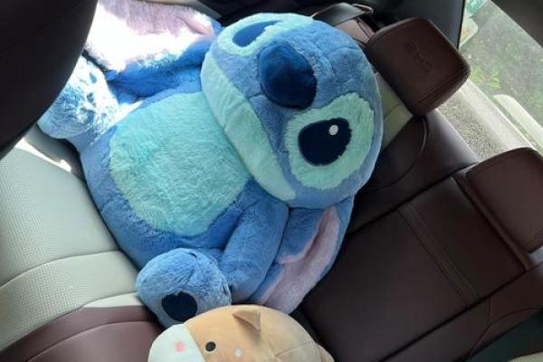 4月25号适合提车吗为什么