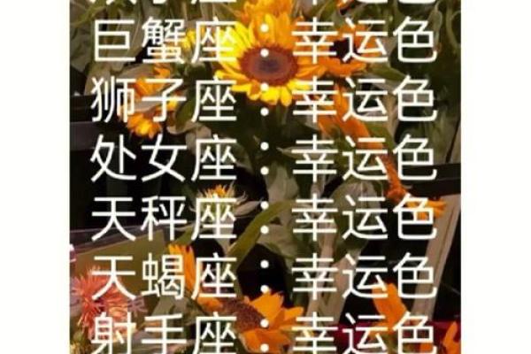 十二星座的永久幸运色 十二星座永久幸运色大揭秘助你运势飙升