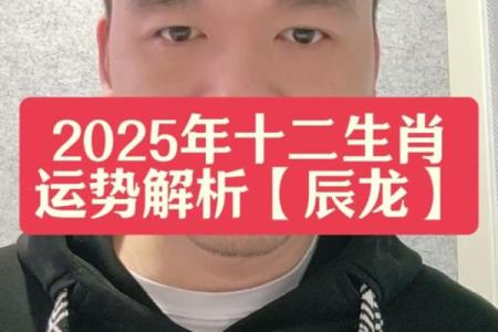2025年属龙人运气_2025年属龙人运气怎么样
