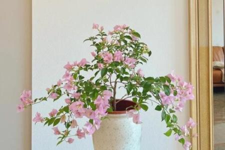 人家的闺女有花戴