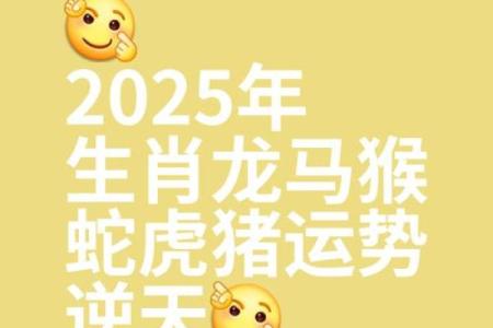 88年属龙2025运势及运程_88年属龙2025全年运势详解逐月运程精准预测