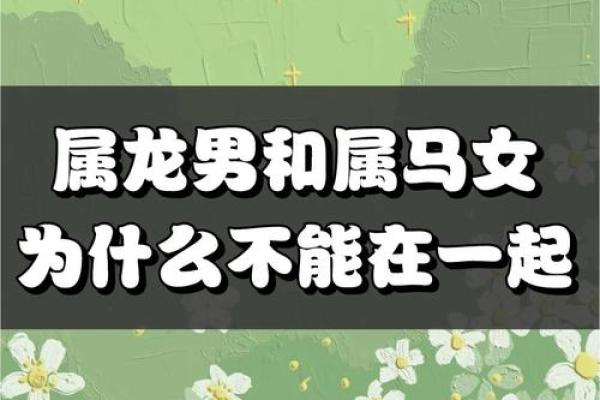 属龙跟属龙的人在一起合适吗_龙男娶了龙女会幸福吗 属龙跟属龙的人在一起合适吗_龙男娶了龙女会幸福吗