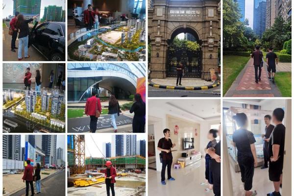 属鸡买房最佳楼层选择指南风水与实用兼顾