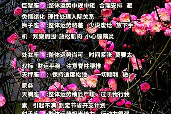 12星座今日运势查询星座屋独家解析每日运程 12星座今日运势查询星座屋独家解析每日运程
