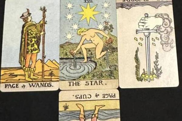 塔罗星座每日最新运势解析今日运势全揭秘