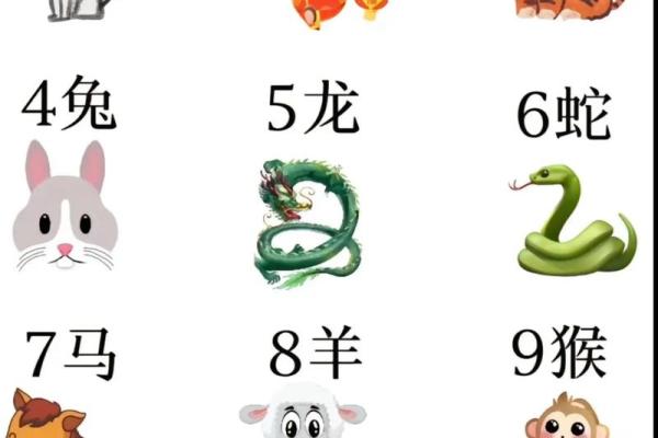 刀枪什么生肖最佳答案