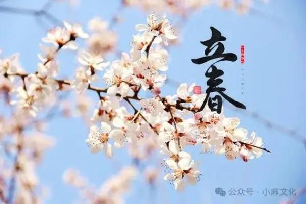 二月份哪天动土好(二月份哪天动土好呢)