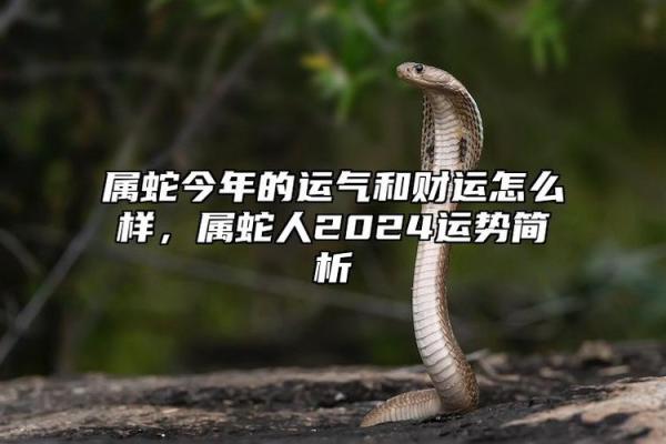 属蛇的人今年能动土吗(属蛇的人今年能动土吗好吗) 属蛇的人今年能动土吗(属蛇的人今年能动土吗好吗)