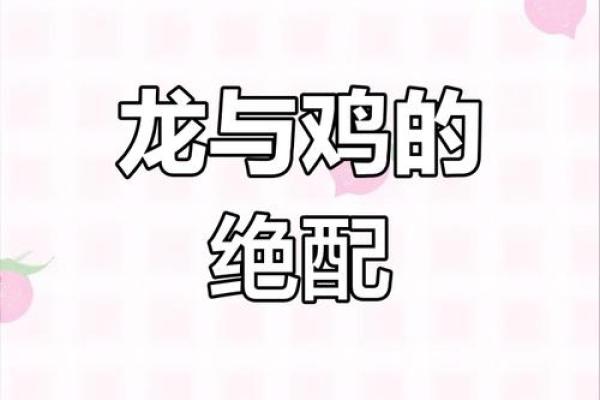 男属鸡女属龙相配吗 2024年农历五月解析男鸡女龙婚配相宜吗 男属鸡女属龙相配吗 2024年农历五月解析男鸡女龙婚配相宜吗