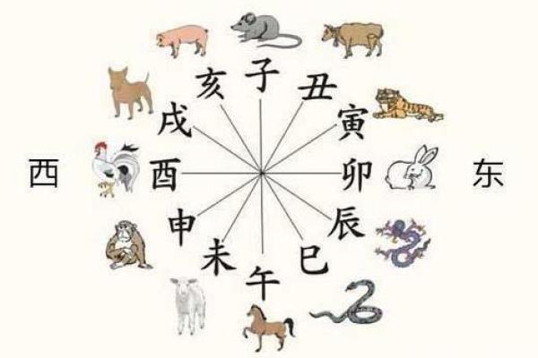 男属鸡女属龙相配吗 2024年农历五月解析男鸡女龙婚配相宜吗 男属鸡女属龙相配吗 2024年农历五月解析男鸡女龙婚配相宜吗