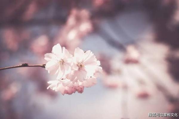 3月星座运势_杀破狼3月星座运势 3月星座运势_杀破狼3月星座运势