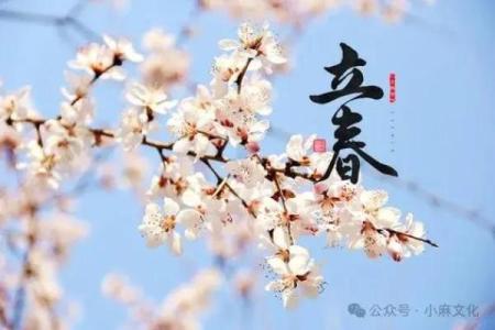 二月份哪天动土好(二月份哪天动土好呢)