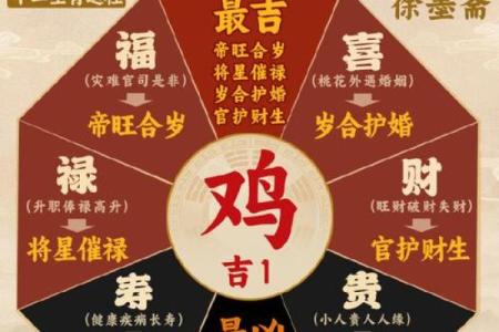 属鸡的人2025年多大_属鸡的人2025年多大岁数