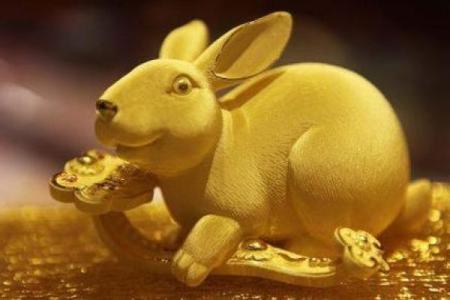 属兔明年适合做生意吗