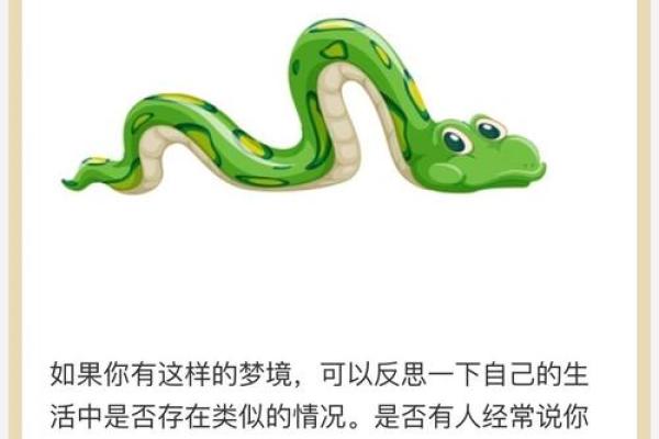 女人梦见蛇咬右脚是什么预兆