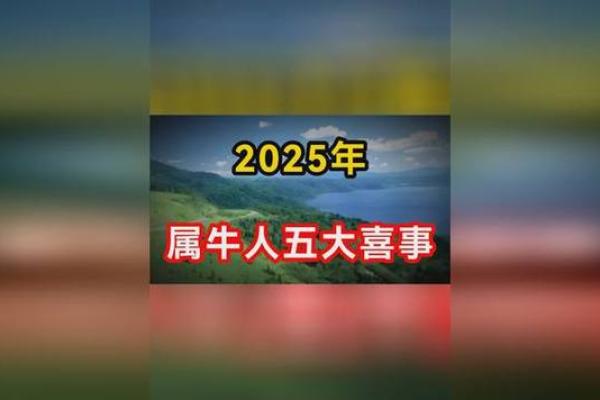 领证日子测算2025年2月属虎和属牛 领证日子测算2025年2月属虎和属牛