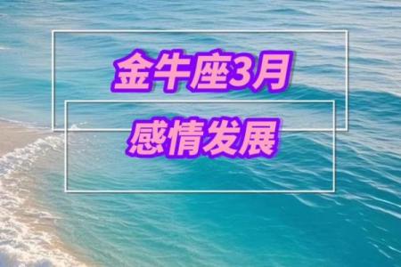 金牛座感情状况