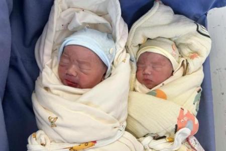 梦见生双胞胎儿子