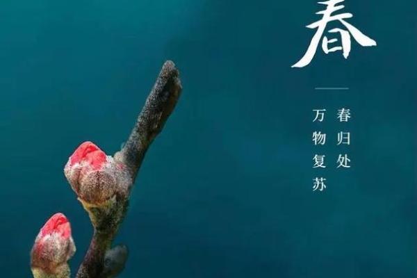 2019年什么时候立春几点几分 2019年什么时候立春几点几分