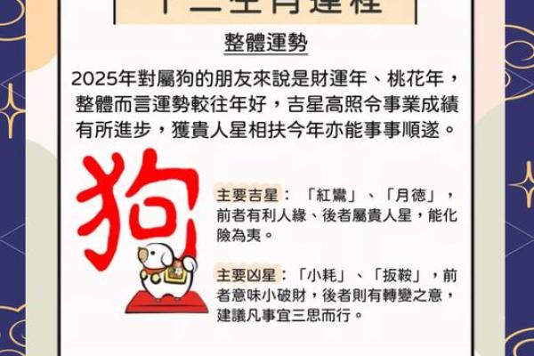 2025年4月13日生肖运势详解 2025年4月13日生肖运势详解