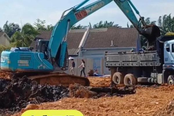 2月2不能动土吗(2月2可以动土吗) 2月2不能动土吗(2月2可以动土吗)