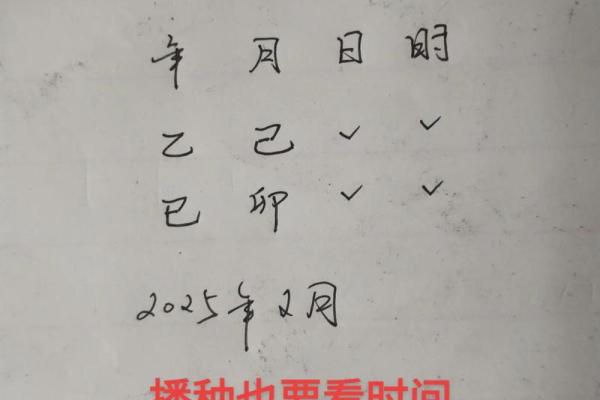 2025年生宝宝是什么命