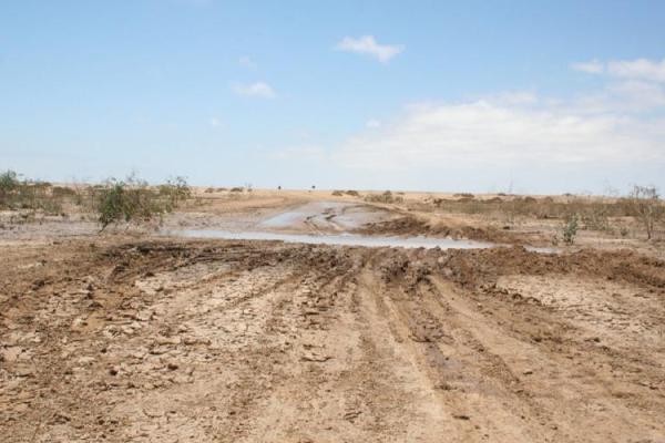 动土破土(动土和破土有什么区别) 动土破土(动土和破土有什么区别)