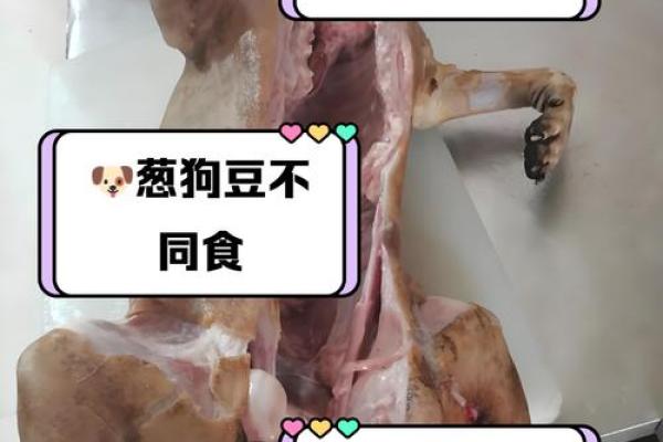 梦见吃狗肉是什么预兆周公解梦