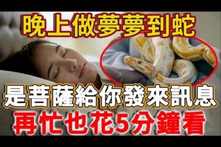 梦见把蛇砍成好几段