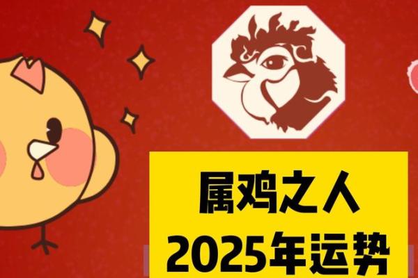 属鸡人的2025年运势_2025年属鸡人的全年运势1981出生 属鸡人的2025年运势_2025年属鸡人的全年运势1981出生