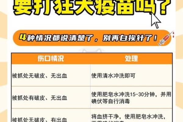 梦见被猫抓咬什么预兆