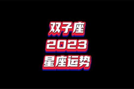 双子2025年的全年运势如何(双子2025年的全年运势如何呢)
