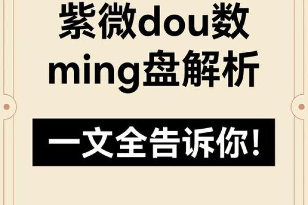 2025年4月20日酉时男命紫微斗数全解盘 2025年4月20日酉时男命紫微斗数全解盘