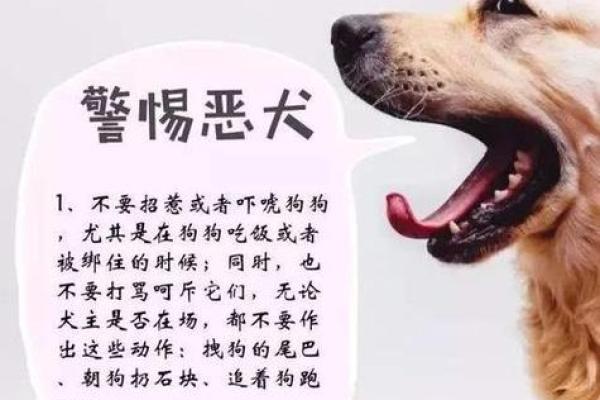 女人梦见狗咬出血有什么预兆 女人梦见狗咬出血有什么预兆