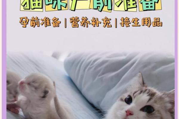 孕妇梦到猫是什么意思