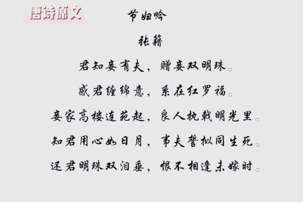 三八妇女节的诗歌