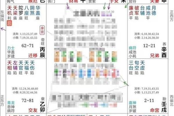 2025年4月10日寅时男命紫微斗数全解盘