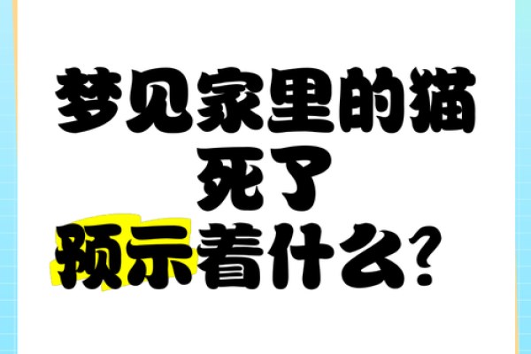 梦见小猫崽是什么意思