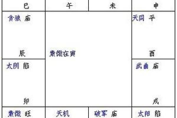 2025年4月25日未时男命紫微斗数全解盘 2025年4月25日未时男命紫微斗数全解盘