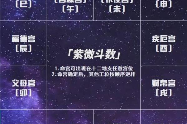 2025年4月15日亥时女命紫微斗数全解盘 2025年4月15日亥时女命紫微斗数全解盘