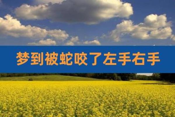 女人梦见被蛇咬手是什么征兆