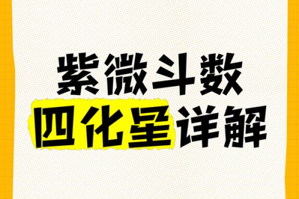 2025年4月11日未时男命紫微斗数全解盘 2025年4月11日未时男命紫微斗数全解盘