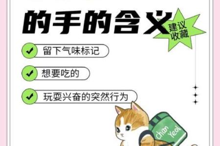 女人梦见猫咬手预兆