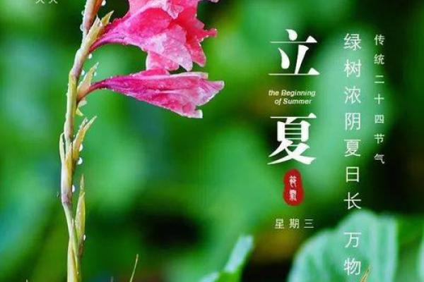 2021年立夏图片 2021年立夏图片