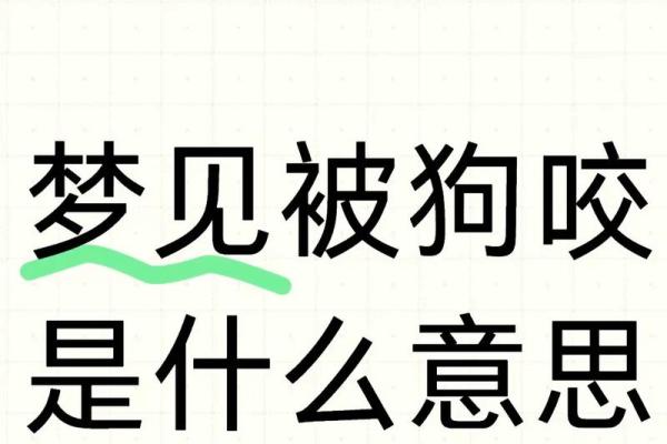 女人梦见狗 女人梦见狗