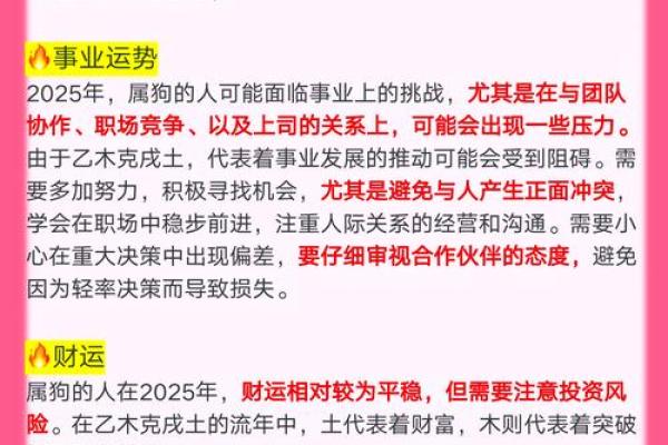 属狗2025_属狗2025年每月运势及运程详解