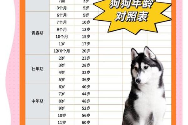 70年属狗的今年多大_70年属狗今年多大2023年属狗人年龄详解 70年属狗的今年多大_70年属狗今年多大2023年属狗人年龄详解