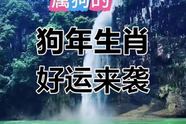1982年属狗2025年每月运势完整版_1982年属狗2025年每月运势详解完整版 1982年属狗2025年每月运势完整版_1982年属狗2025年每月运势详解完整版