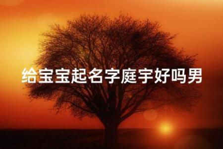 半夜出生的属狗男孩怎么取名，宜用什么字姓名